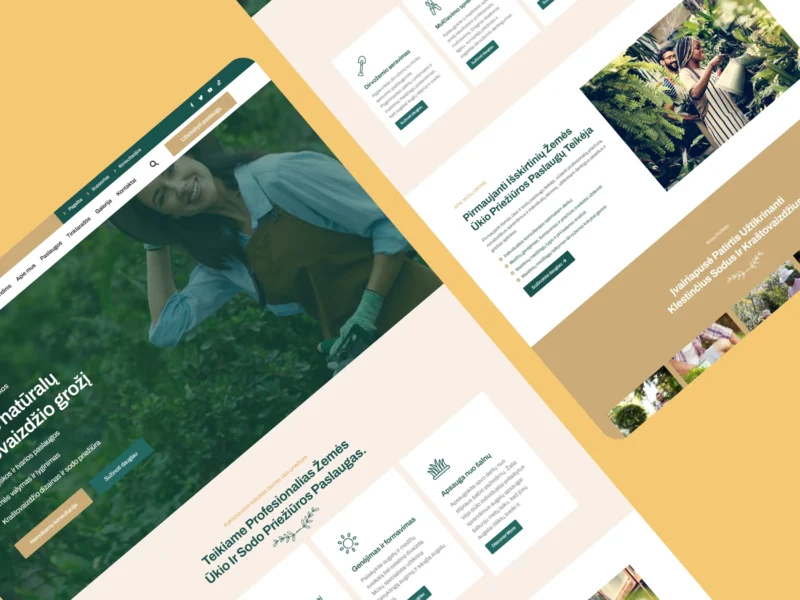 portfolio website 17